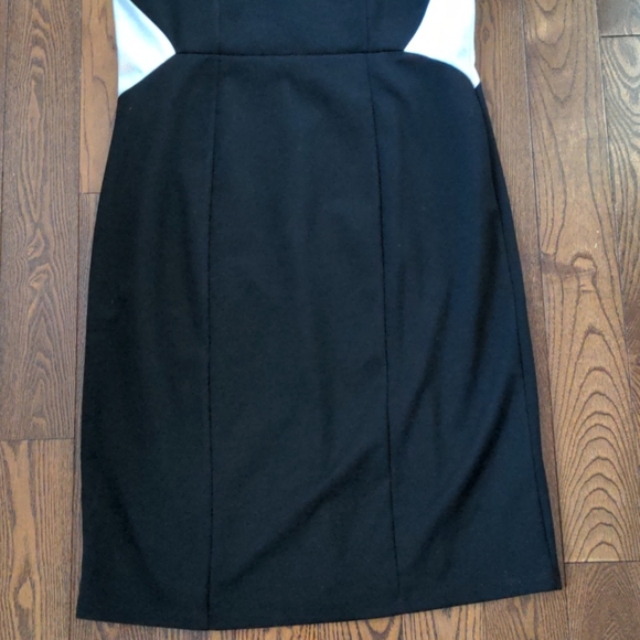 Black and White Sleeveless Dress - Picture 3 of 8